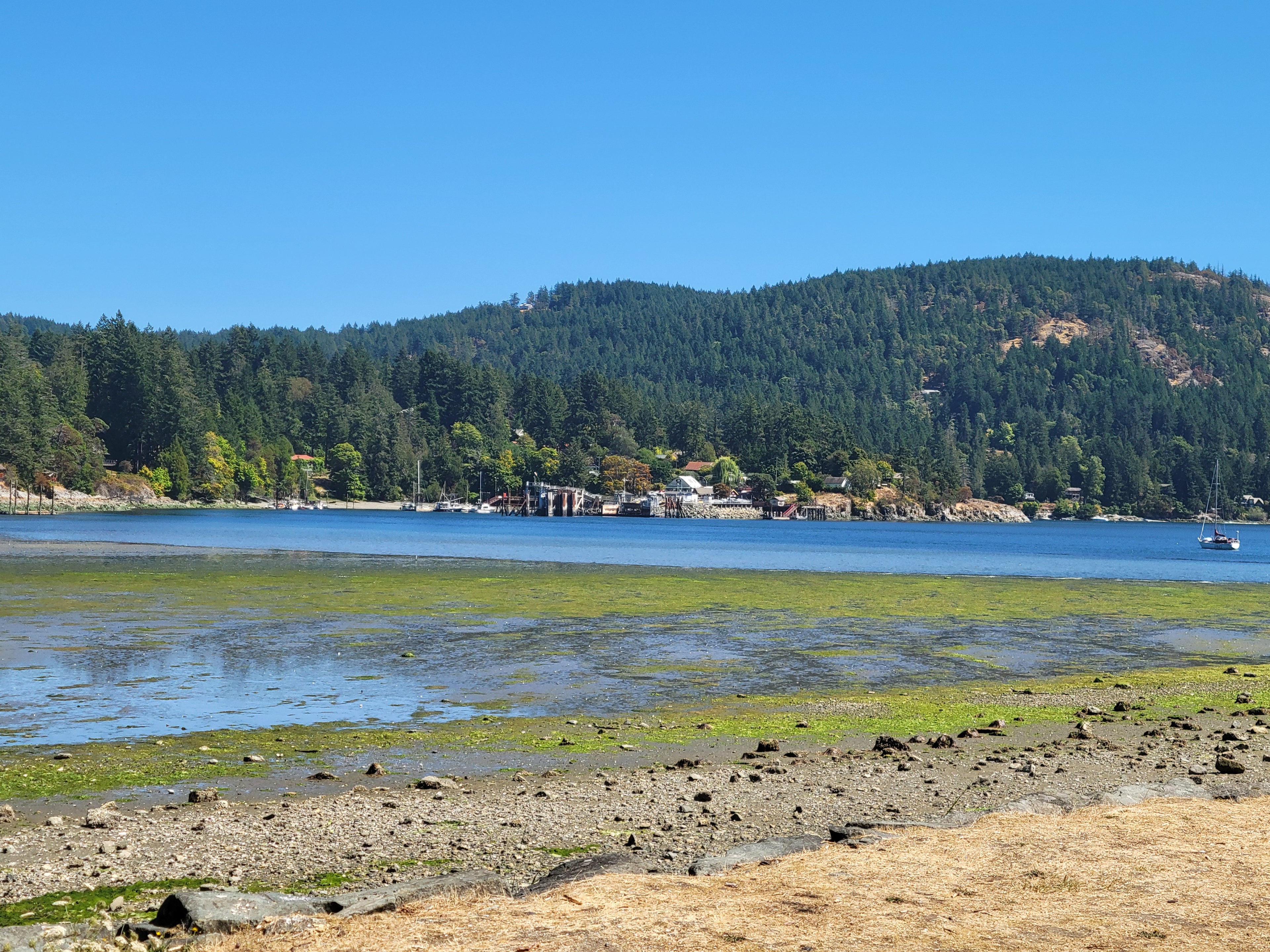 Shoreline