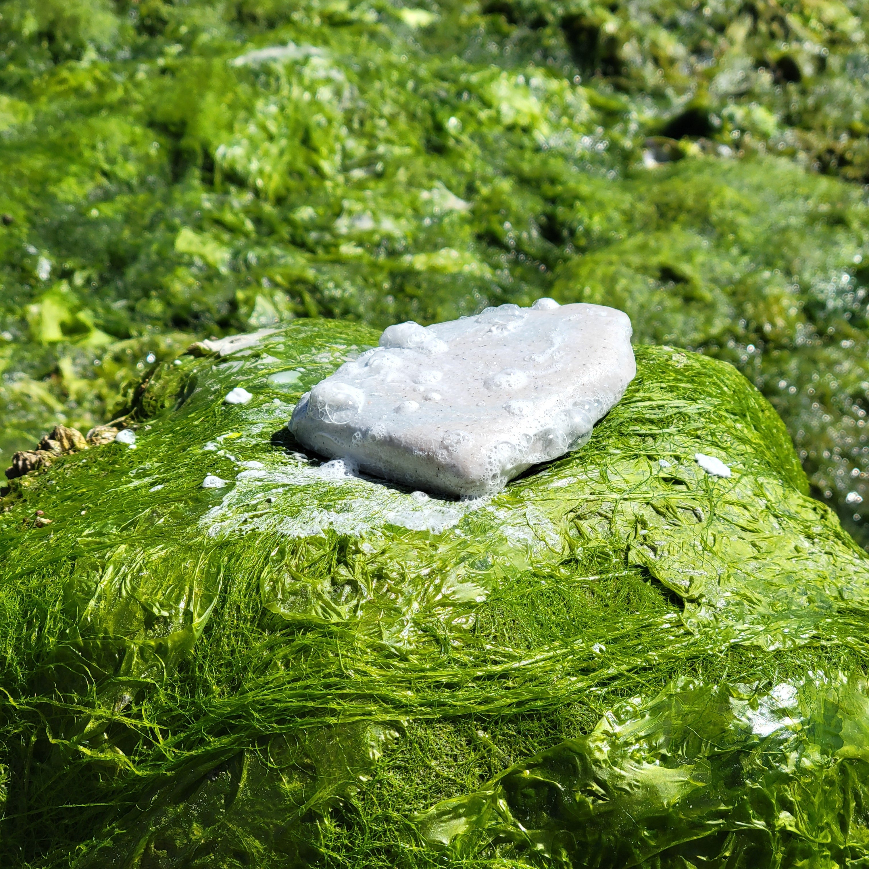 Shoreline