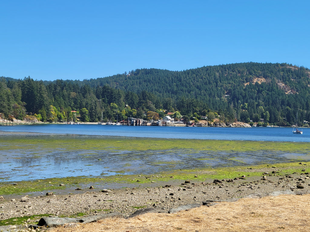 Shoreline