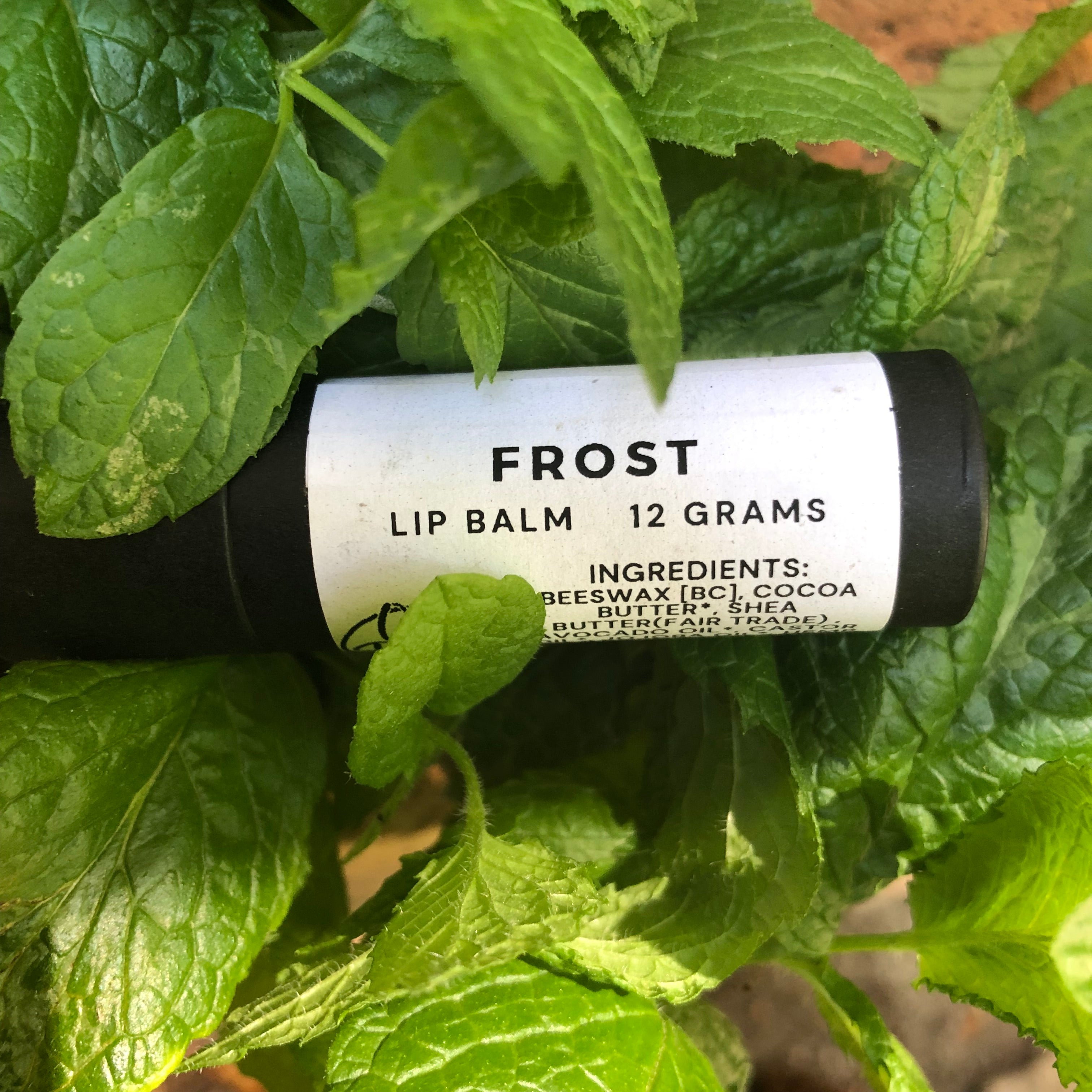 Frost Lip Balm