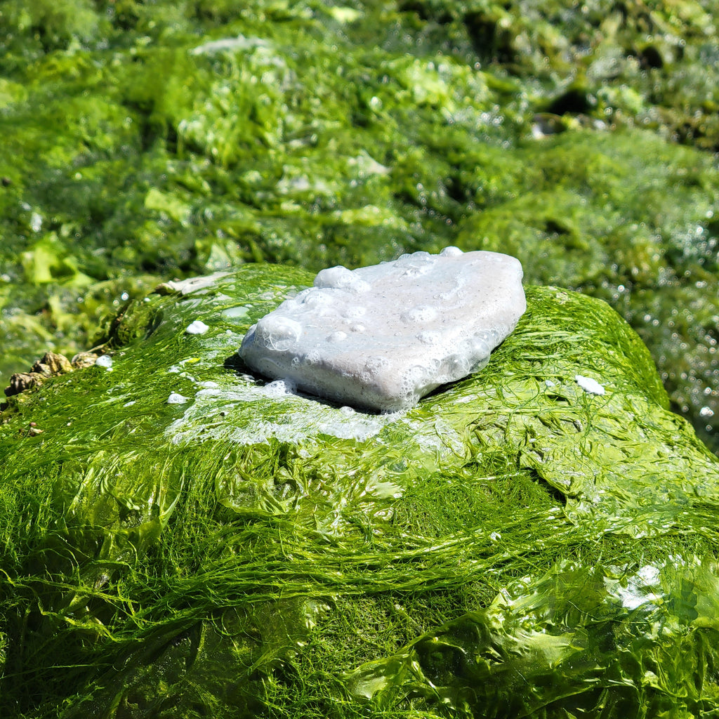 Shoreline